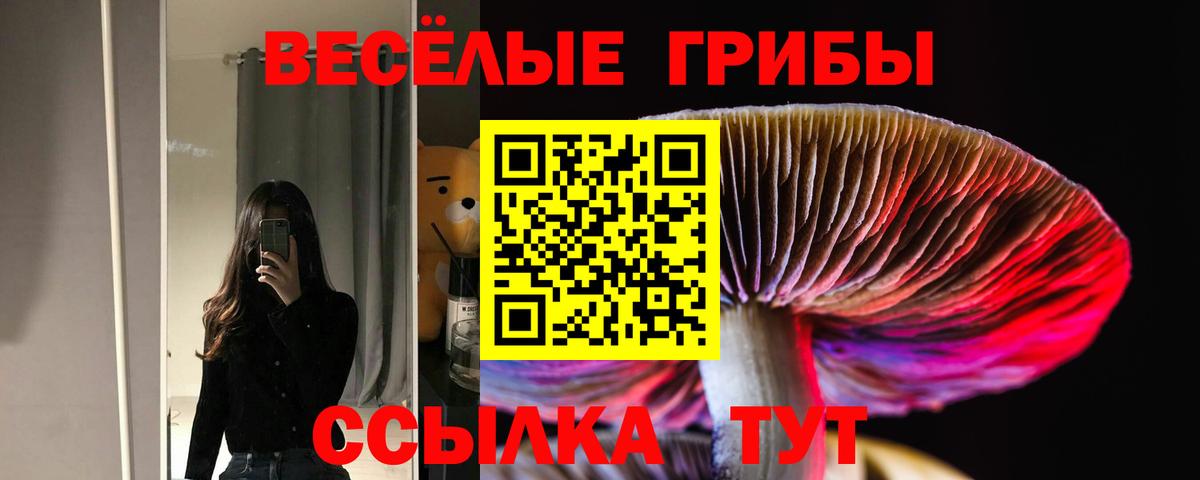 Псилоцибиновые грибы Psilocybe  Вход с VPN  как найти закладки  Псилоцибиновые грибы мицелий  Кизляр 