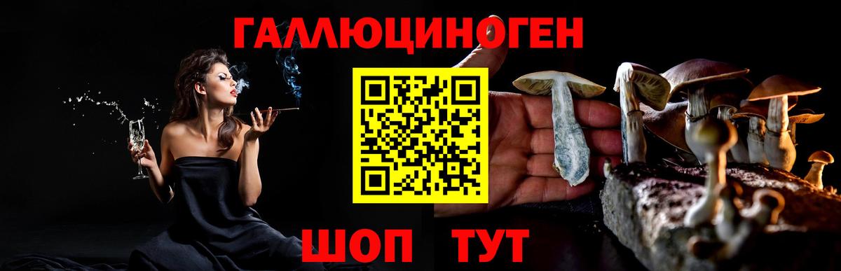 Псилоцибиновые грибы мицелий Кизляр